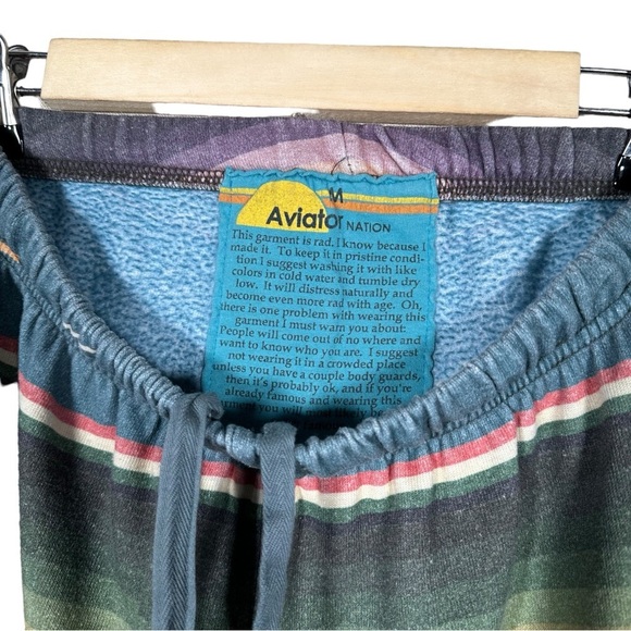 AVIATOR NATION Serape Bolt Stitch Jogger Sweatpants - Picture 10 of 11